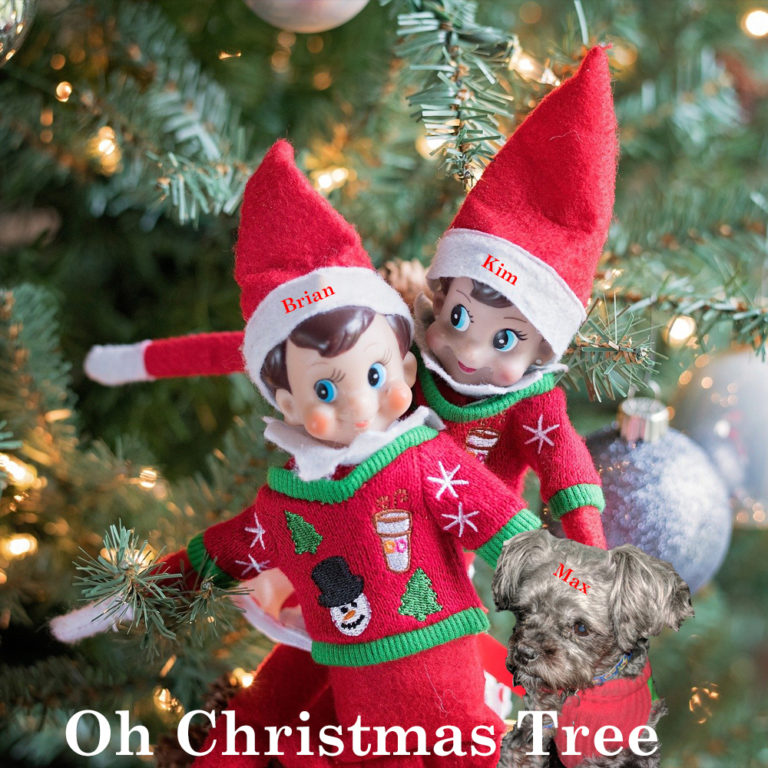 Oh Christmas Tree