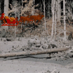 Over the River and through the Wood